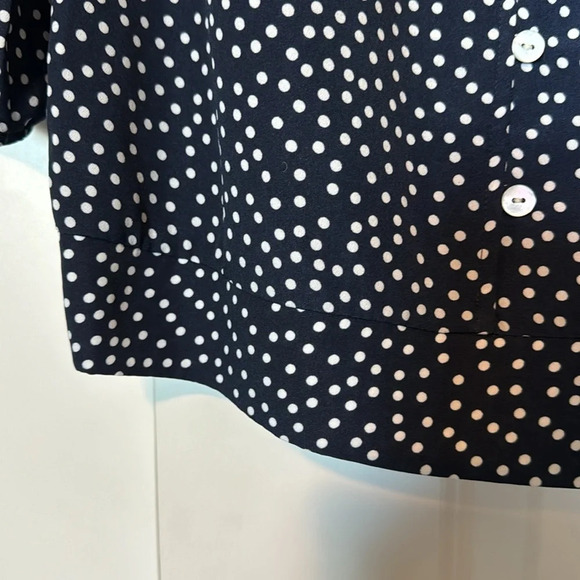 The‎ Limited polka dot blouse - Picture 3 of 14
